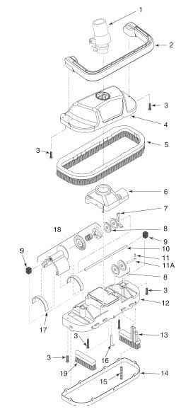 great-white-shark-parts.jpg