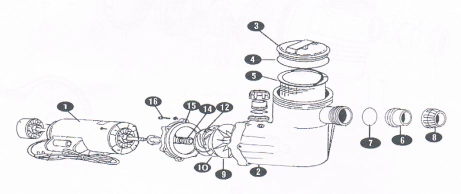 questa-jetflow-or-supa-jetflow-pump-monarch-parts-breakdown.jpg