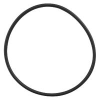 Compu Cartridge Filter Lid O Ring BF series