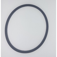 Emaux Oring / Gasket for ASP550P, ASP750P Pump Diffuser / Volute Hydrau-Power Commercial Pump