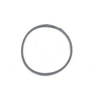 Davey Powerace, and XB Pump Lid O Ring 