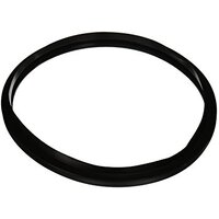 Hayward Star-Clear Cartridge Filter Lid Gasket C series