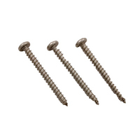 Hayward Phoenix Top Cover Screw - Set of 3