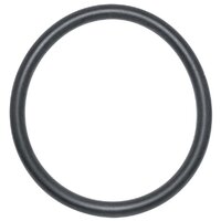 Onga LSFII 40mm Multiport Valve Stem Pipe O-Ring