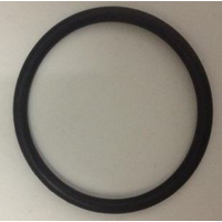 Emaux Adaptor Union Oring for 1." MPV07