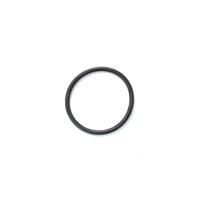 Poolrite Enduro Pump / Cartridge Swivel Union / Coupling O-Ring