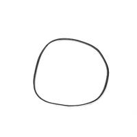 Poolrite Enduro & Supaflo Pump Lid O-Ring - GENUINE