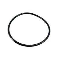 Pentair Silentflo / Max E Pro, ECO800 Lid Oring