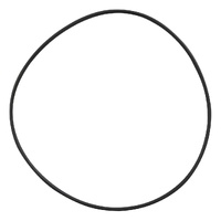 Davey Powermaster Variable Speed Pool Pump - Lid Oring