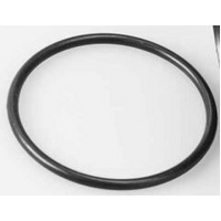 Davey Sureflo Pump Barrel Union Oring