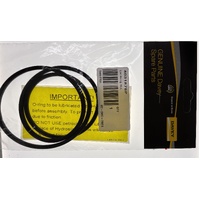 Davey Promaster Variable - Pump Lid Oring