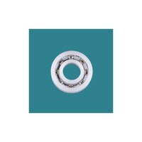 Maytronics Dolphin Supreme Bearing