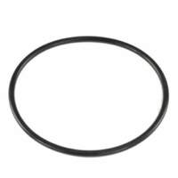 Waterco Hydrostorm Plus, Hydrotuf Pump Lid Oring