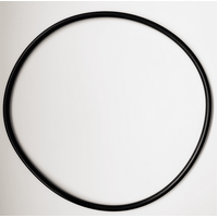 Waterco Opal Cartridge Filter Lid O-Ring