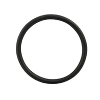 Waterco Trimline MK2  Barrel Union Oring