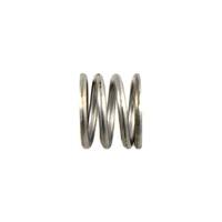 Waterco Sand Filter Multiport Valve Spring for 50mm Valves