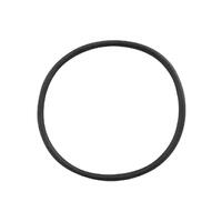 Waterco Charger Pump Lid O-Ring