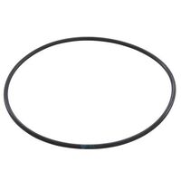 Waterco Pumps Diffuser Oring - 3 hp Pumps