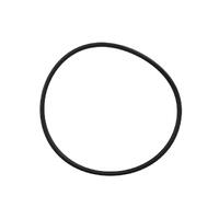 Waterco Pump Lid O-Ring