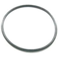 Waterco Aquaswim 40C Pump Lid Oring