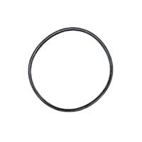 Waterco Litestream Light Gasket