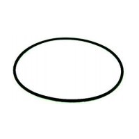 Onga LTP & PPP Pump Body O-Ring