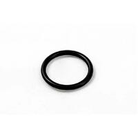 Onga Pantera / Quiptron BR & LSF Valve Rotor Shaft Oring