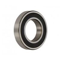 Astral Pool Electric Motor Bearing - Front - 6204