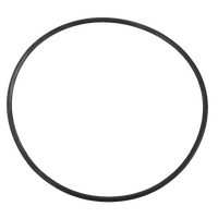 Hurlcon Astral Cantabric CA Media Filter Tank Oring