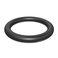 Astral / Hurlcon BX, P, XP Pump Impeller Oring 
