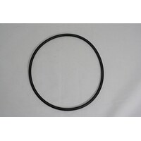 Waterway Top Load Cartridge Filter Lid O Ring Genuine - Genuine