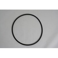 Waterway Cartridge Filter Lid O Ring - Genuine