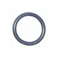 Compu BF Air Bleed Screw Oring