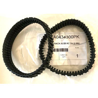 Astral S20 Pool Cleaner Tracks - Set of 2