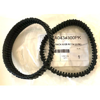 Zodiac AX20 ACTIV Pool Cleaner Track - 2 Pack
