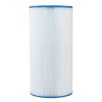 Aquaswim CF50 Replacement  Filter Cartridge