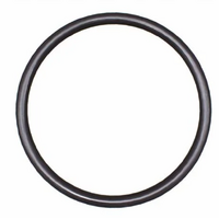 Davey 6000 Check Valve Assembly Oring