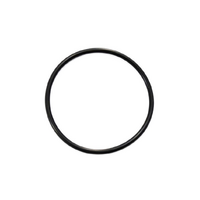 Jandy CV, CL, DEL, DEV Filter Union Oring