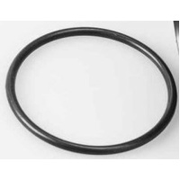 Aussie Gold Oring BS235 - 78.97 x 3.53 suiits Aqua-pure Stainless Steel filter housings - Water Filter