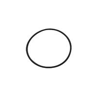 Auto Chlor Cell Body Oring - S Type Old Style