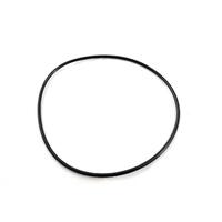 Filtermaster MK2 Pump Lid O Ring - Monster / Sprinter