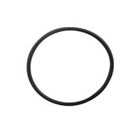 Chlorinator Cell Housing O-Ring suits many brands