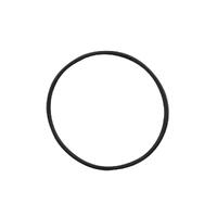 Finsbury Super Pump - Pump Lid O-ring