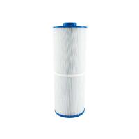 Poolrite Replacement Generic Cartridges - CL110 (Set of 2)