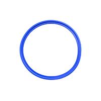 AutoChlor Threaded Lock Cell Housing Gasket / Cell Oring