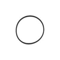 Monarch Powerflow ZX Pump Lid O-Ring - Genuine