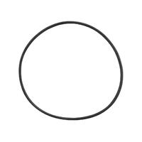 Monarch Typhoon Pump Lid ORing -Post 07 Models