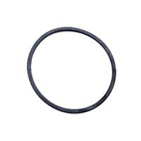 Monarch Typhoon Pump Lid Gasket / Oring - Pre'2007