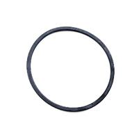 Monarch Typhoon Pump Lid Gasket / Oring - Pre'2007