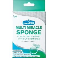 Multi Miracle Sponge by CleanPro - 100x70x50mm - Carton 48